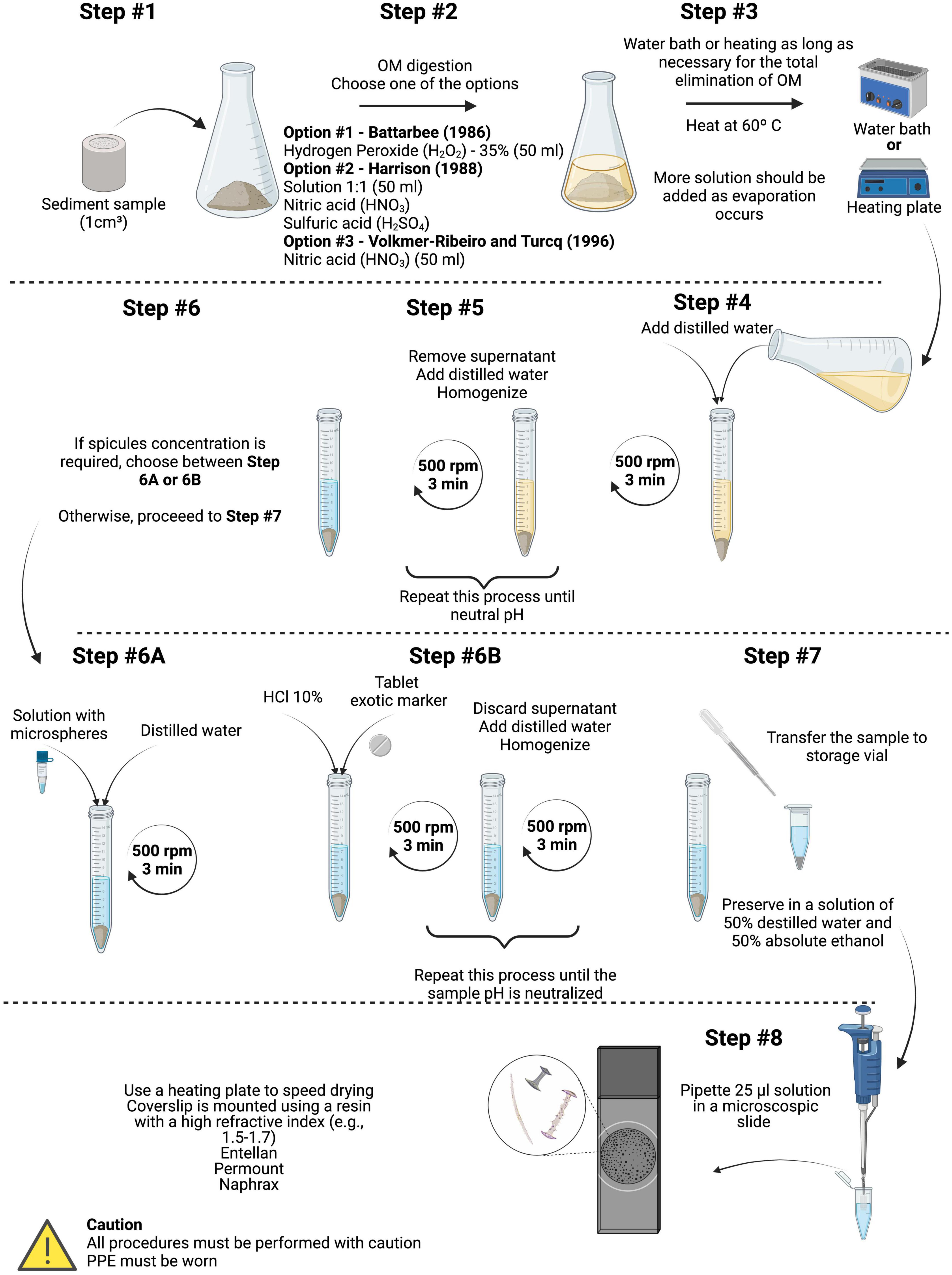 A morphological guide of neotropical freshwater sponge spicules for paleolimnological studies
